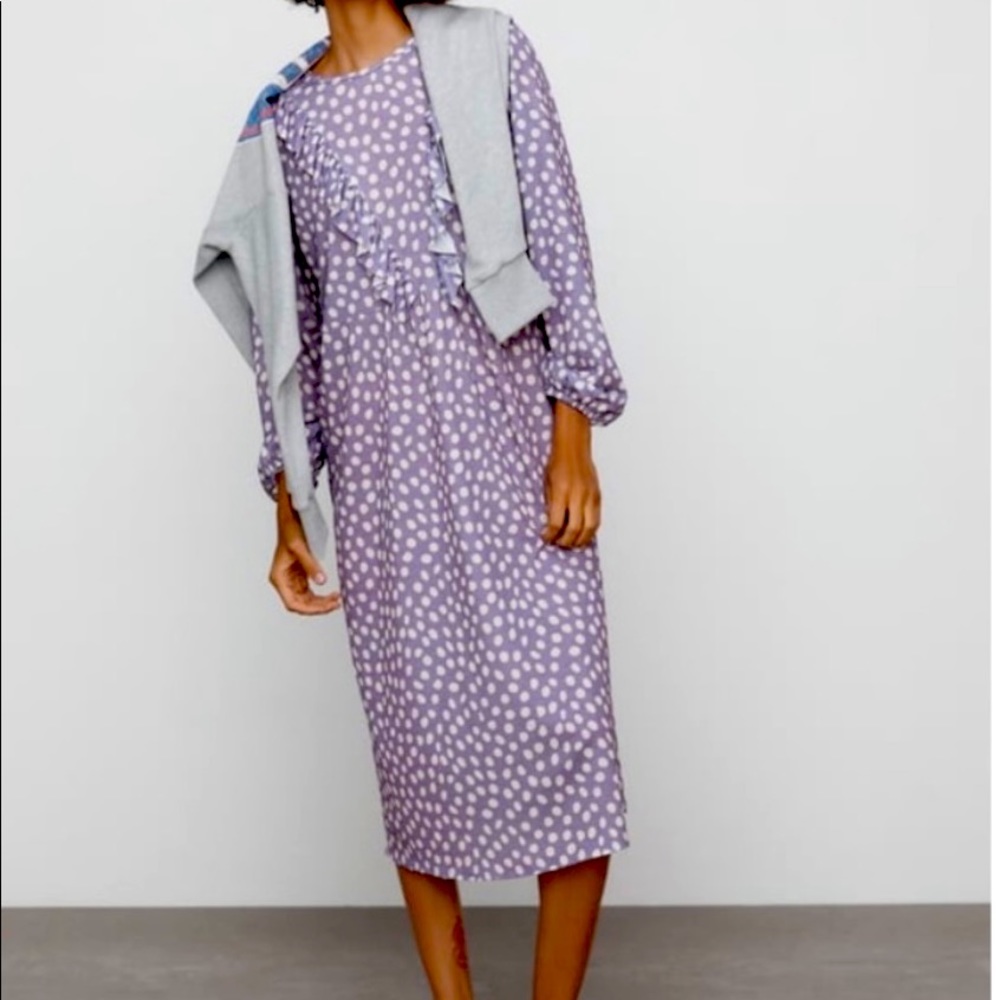Womens Zara polka dot purple dress with Ruffles, sz Medium - Picture 2 of 11